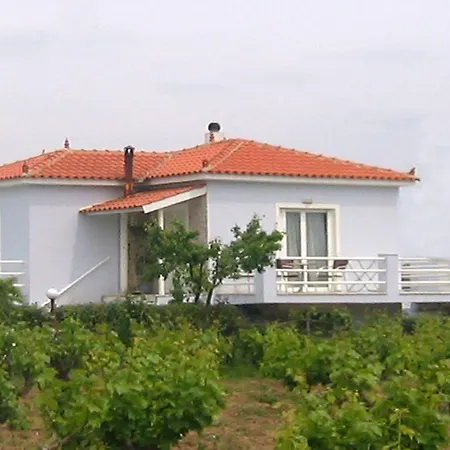 Villa Carpe Diem Villas And Houses
